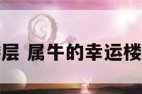 属牛幸运楼层 属牛的幸运楼层吉祥数字