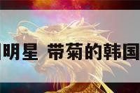 带菊的韩国明星 带菊的韩国明星有哪些
