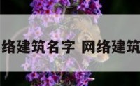 网络建筑名字 网络建筑师