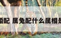 属兔上上婚配 属兔配什么属相是上等婚姻