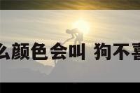 狗不喜欢什么颜色会叫 狗不喜欢什么声音