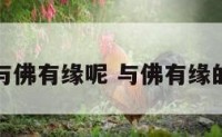 什么动物与佛有缘呢 与佛有缘的宠物名字