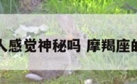 摩羯座给人感觉神秘吗 摩羯座的人物质吗
