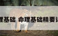 命理基础 命理基础精要详解