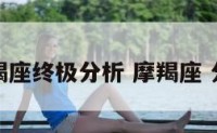 摩羯座终极分析 摩羯座 分析