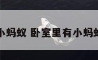 卧室里有小蚂蚁 卧室里有小蚂蚁怎么驱赶