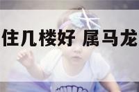 属马的属龙的住几楼好 属马龙买房买几号楼好