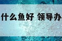 领导办公室养什么鱼好 领导办公室养什么鱼好风水好