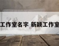 俏皮工作室名字 新颖工作室名字