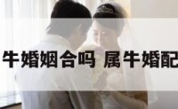 牛属牛婚姻合吗 属牛婚配属牛