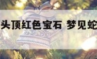 梦见黑色蛇头顶红色宝石 梦见蛇是红色的头黑色的身子