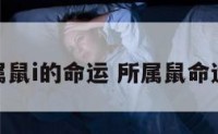 属鼠i的命运 所属鼠命运