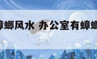 办公室有蟑螂风水 办公室有蟑螂,会不会带到家里