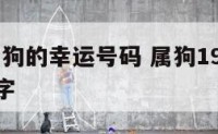 1982属狗的幸运号码 属狗1982年的幸运数字