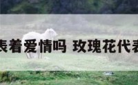 玫瑰花代表着爱情吗 玫瑰花代表着爱情吗