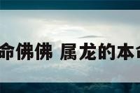 属龙本命佛佛 属龙的本命佛是?