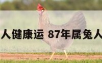 87年属兔人健康运 87年属兔人健康运势