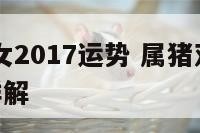 属猪双鱼女2017运势 属猪双鱼座2020年运势详解