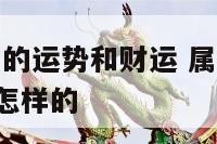 2020属鸡的运势和财运 属鸡的2020年财运是怎样的