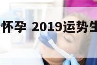 2019运势怀孕 2019运势生肖运势详解
