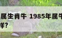 1985年属生肖牛 1985年属牛命运一生怎么样?