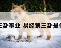 易经第三卦事业 易经第三卦是什么意思