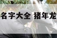 猪年龙凤胎起名字大全 猪年龙凤胎起名字大全女