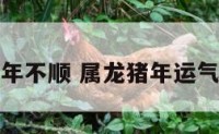 属龙猪年不顺 属龙猪年运气怎么样