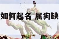 属狗宝宝缺水如何起名 属狗缺水缺木寓意好的名字