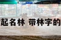 狗年宝宝起名林 带林字的狗狗名字