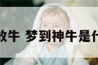 梦神仙放牛 梦到神牛是什么预兆