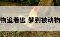 梦到被动物追着逃 梦到被动物追着逃命