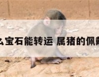 属猪戴什么宝石能转运 属猪的佩戴什么石头