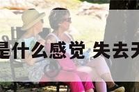 失去天蝎男是什么感觉 失去天蝎男的感觉