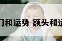 脑门和运势 额头和运势