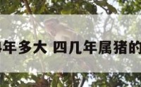 属猪的04年多大 四几年属猪的是哪一年