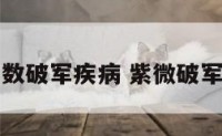 紫微斗数破军疾病 紫微破军的长相