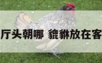 貔貅放在客厅头朝哪 貔貅放在客厅什么位置