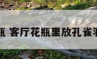 客厅花瓶 客厅花瓶里放孔雀羽毛好吗