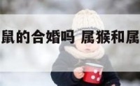 属猴的和属鼠的合婚吗 属猴和属鼠的人合不合