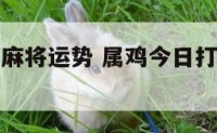 属鸡今日打麻将运势 属鸡今日打麻将运势方向