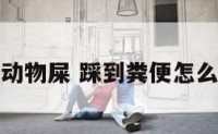 踩到动物屎 踩到粪便怎么处理