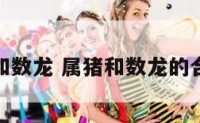 属猪和数龙 属猪和数龙的合不合