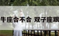 双子座与金牛座合不合 双子座跟金牛座合吗