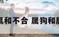 属狗和属鼠和不合 属狗和属鼠和不和