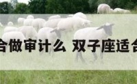 双子座适合做审计么 双子座适合干销售吗