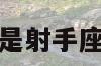 关于什么星座是射手座的贵人的信息