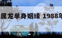 1988年属龙单身姻缘 1988年单身的龙男