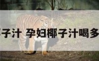 孕妇椰子汁 孕妇椰子汁喝多了好吗