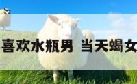 天蝎座女生喜欢水瓶男 当天蝎女爱上水瓶男